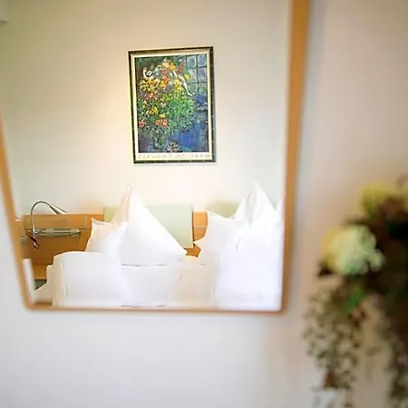 מלון Stausee-hotel 3*