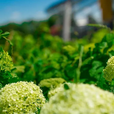 ホテル Stausee-hotel