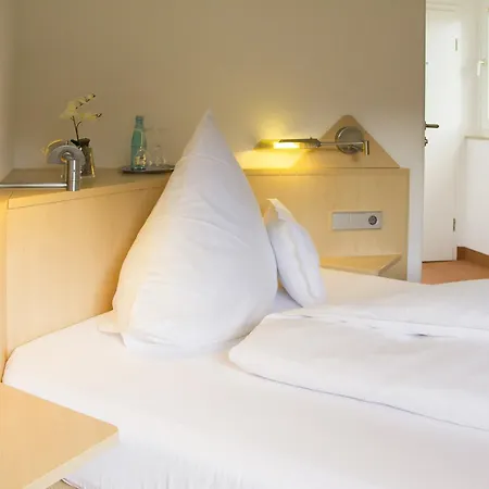 Stausee-hotel 3* メッツィンゲン