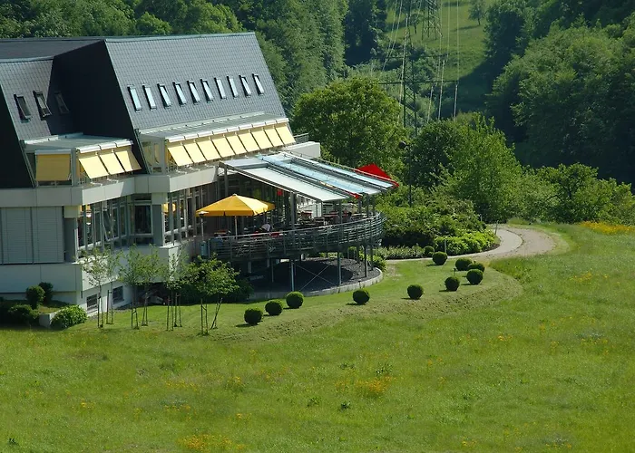 - ستاوسي 3* ميتسنغن