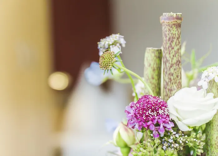 - ستاوسي فندق