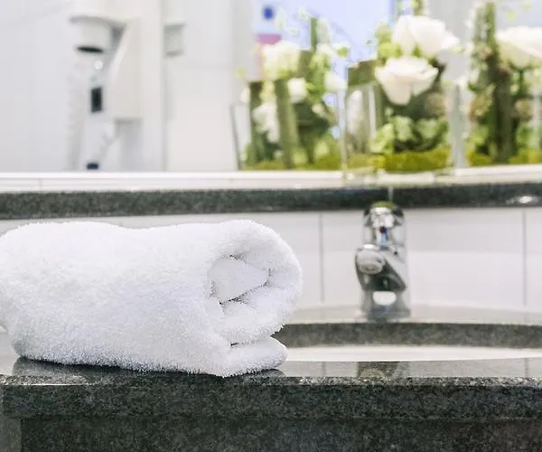 فندق - ستاوسي ميتسنغن