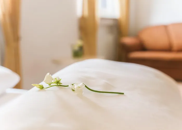 - ستاوسي فندق