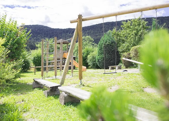 - ستاوسي ميتسنغن