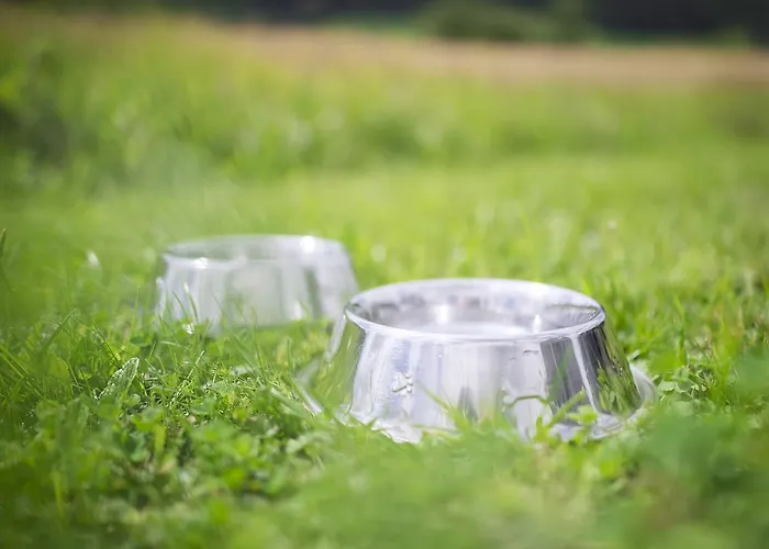 فندق - ستاوسي ميتسنغن